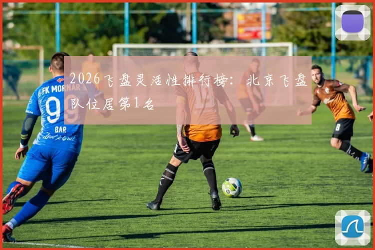 2026飞盘灵活性排行榜：北京飞盘队位居第1名