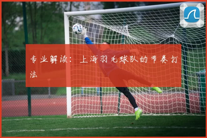 专业解读：上海羽毛球队的节奏打法