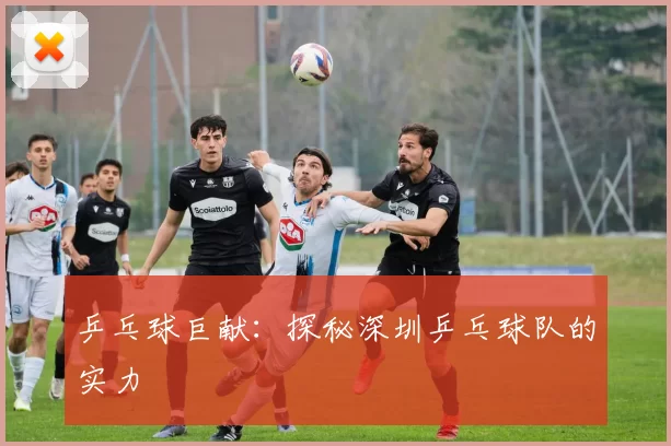 乒乓球巨献：探秘深圳乒乓球队的实力