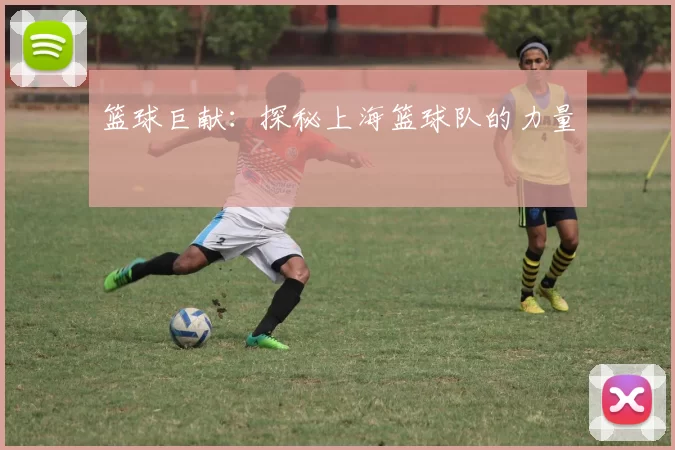 篮球巨献：探秘上海篮球队的力量