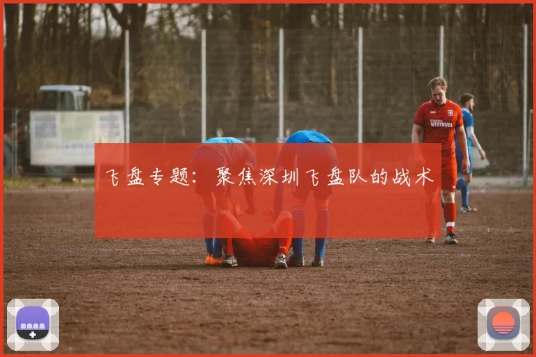 飞盘专题：聚焦深圳飞盘队的战术